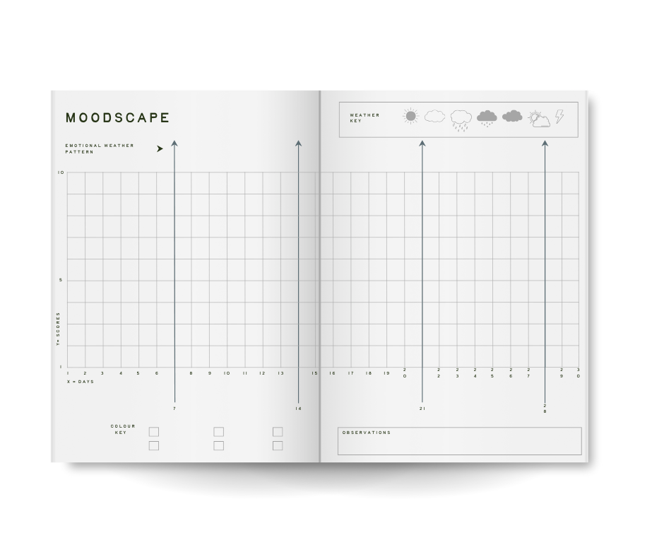 Daily Tracker
