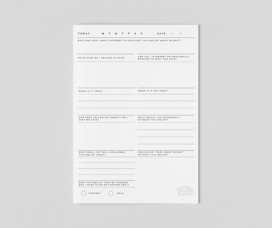 Belief Tracker